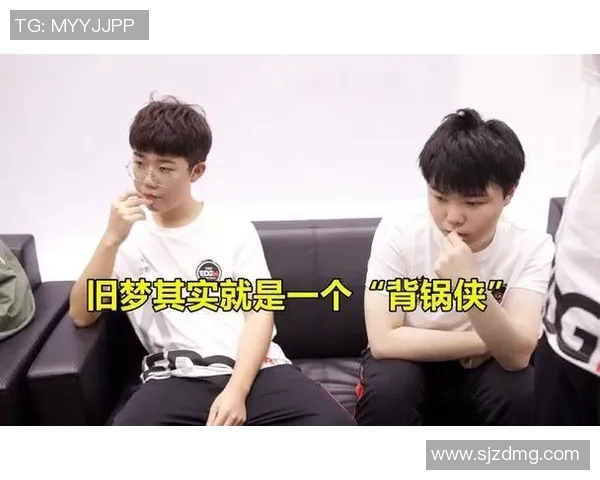 深入探讨EDG战队在比赛中的耐力表现与数据分析结果