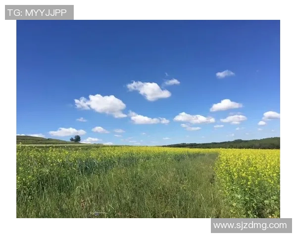 王秀英的极限运动人生探索与深度对话之旅
