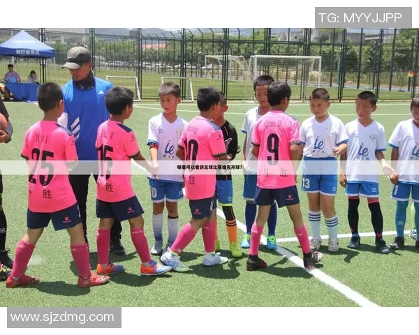 北京羽毛球队在世界杯预选赛中的心理素质分析与表现评估 北京羽毛球队在世界杯预选赛中的心理素质分析与表现评估