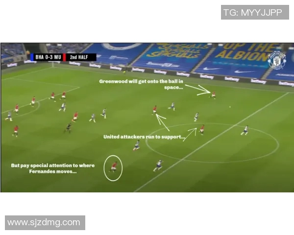 南京羽毛球队进攻革新之路探索与实践分析