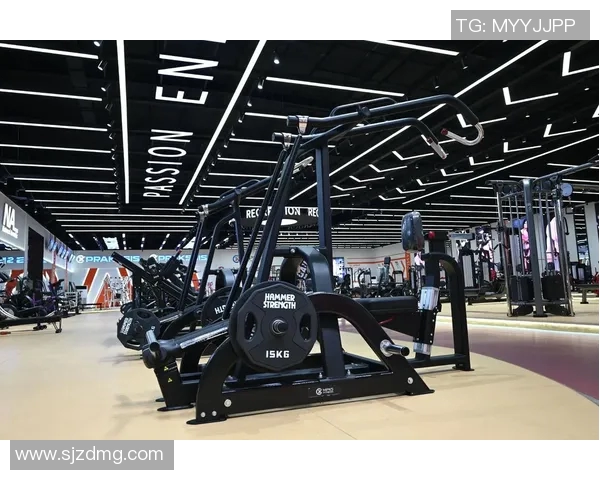 诺德士健身器材价格：了解诺德士产品的价格范围