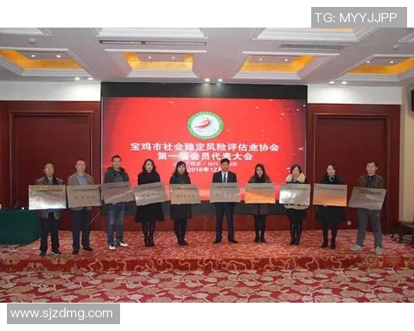 LNG在冠军杯中的团队协作分析与表现评估 LNG在冠军杯中的团队协作分析与表现评估