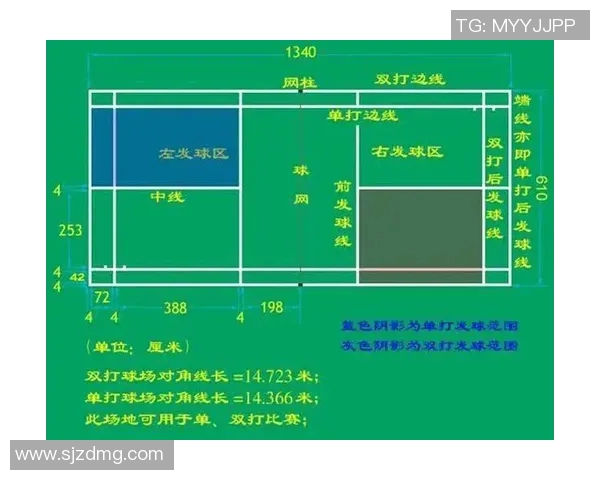 南京排球队比赛经验深度对比分析与发展建议